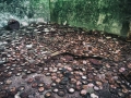 AcquaMineraleSS11