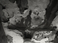 AlbergoB031