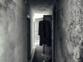 AlbergoM23