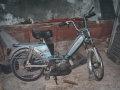 CasaB38