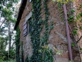 CasaCA17