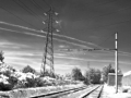 CaselloG9