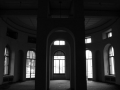 ColoniaM13