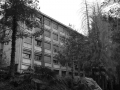 ColoniaM15