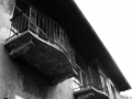 ColoniaM3