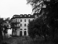 ColoniaM38
