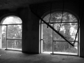 ColoniaM7