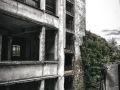 CotonificioC091