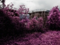 CotonificioC-PN004