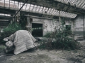 CotonificioC-PN041