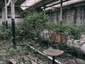 CotonificioC-PN055