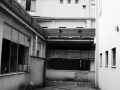 DittaN17