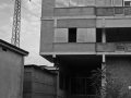 DittaN22