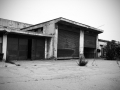 DittaN42