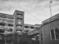 DittaSV-N02