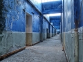 DittaSV-N05