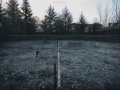 DittaSV-N08