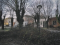DittaSV-N17