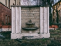 DittaSV-N19
