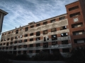 DittaSV-N29