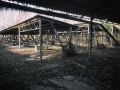 DittaSV-N98
