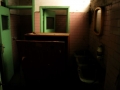DittaT1
