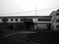 DittaT29
