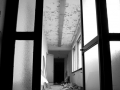 DittaT3