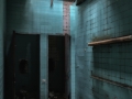 DitteVeV09