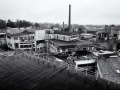 DitteVeV19