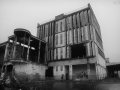 DitteVeV31