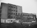 DitteVeV32