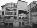 DitteVeV41