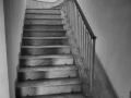 DitteVeV54