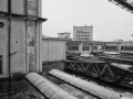 DitteVeV58