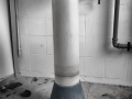 DitteVeV66
