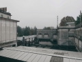 DitteVeV71