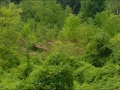 FornaceF1