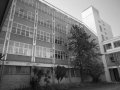 IstitutoMedicoPedagogico16