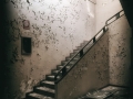 LanificioBL020