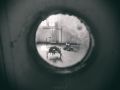 ManicomioV039