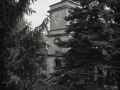 ManicomioV105