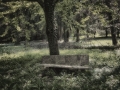 MiniGolfBT09