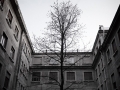 OspedaleGS22