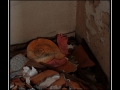 PreventorioInfantile9