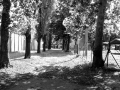 VillaggioOperaioT10