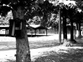 VillaggioOperaioT5